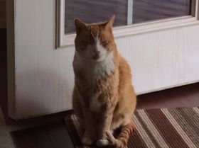 14915141_10211026918093147_814157746189078029_n